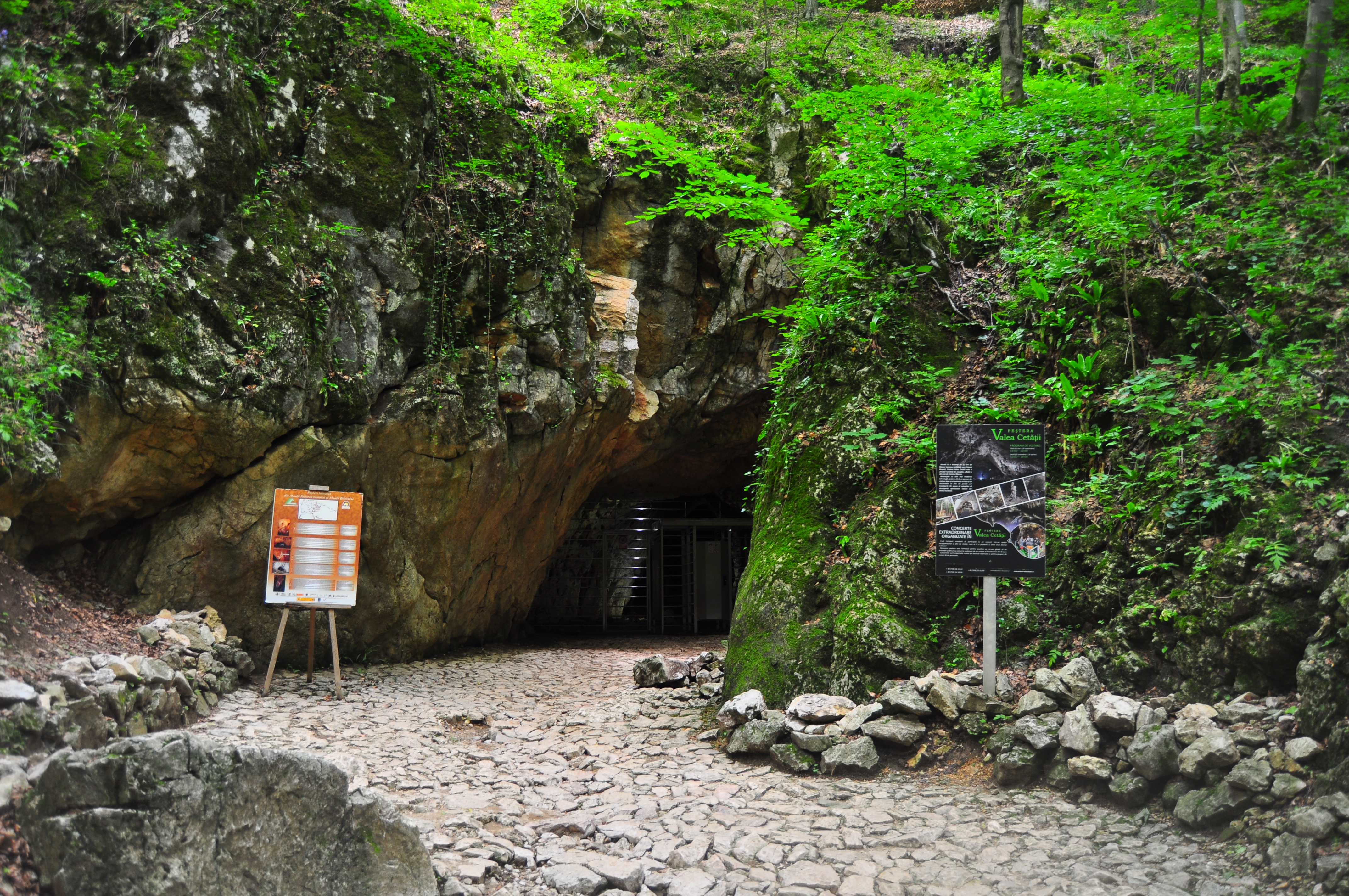 intrarea în Peștera Valea Cetății Râșnov
